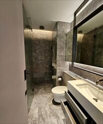 Cuscaden Reserve (D10), Condominium #498379071